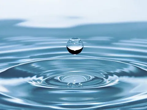 Das Wasser