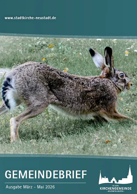 Aktuelles in gedruckter Form