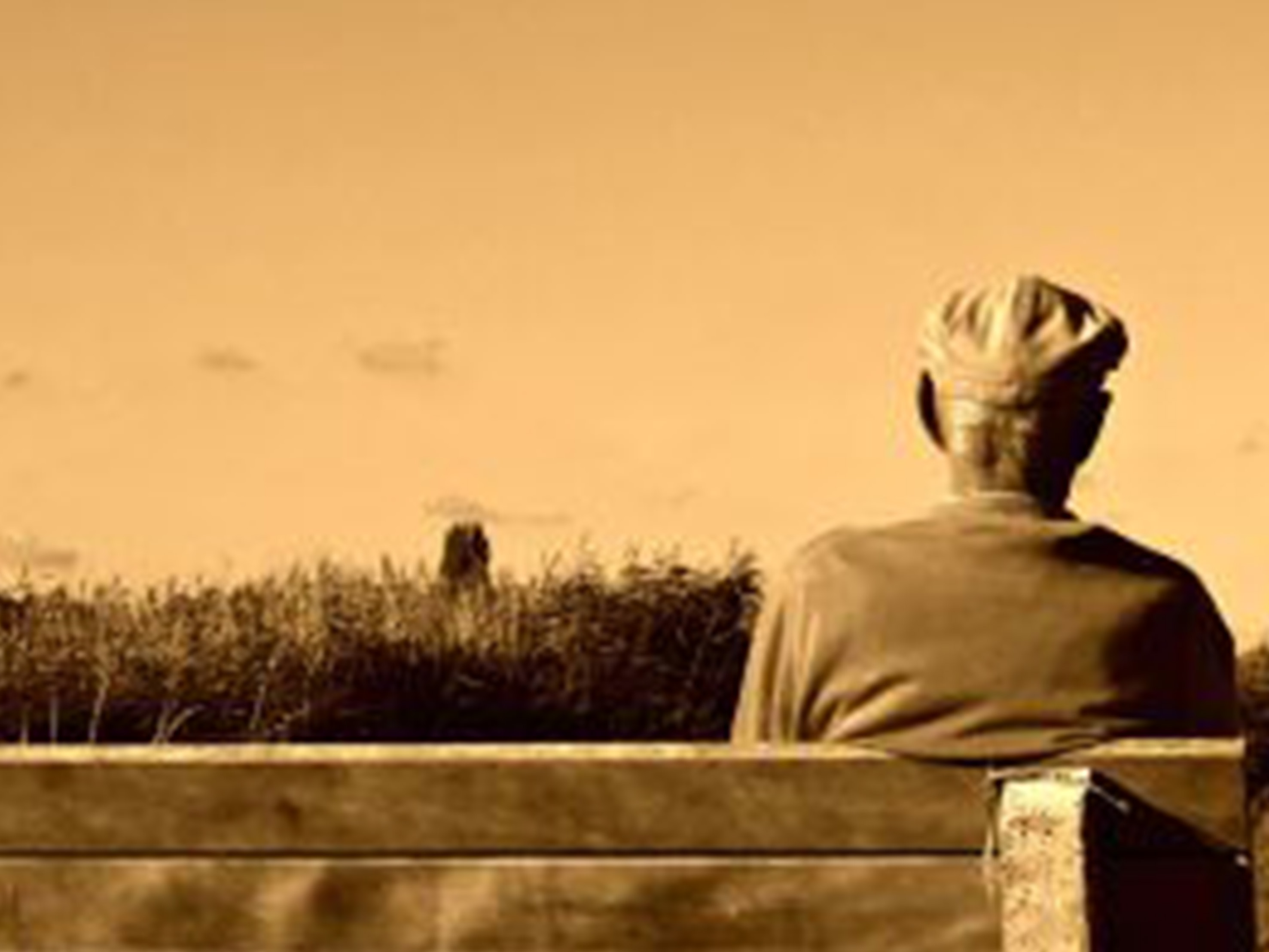 Hohes Alter & Lebensende