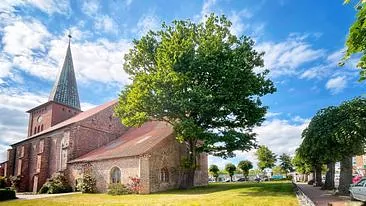 Außenansicht der Kirche mit großem Baum.